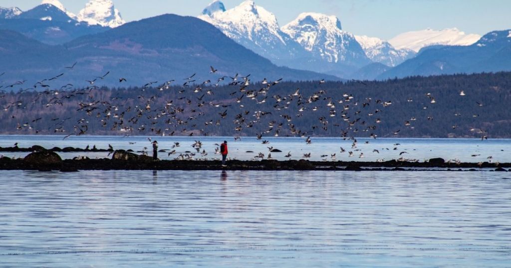 Just Published: The Infinite&nbsp;Within