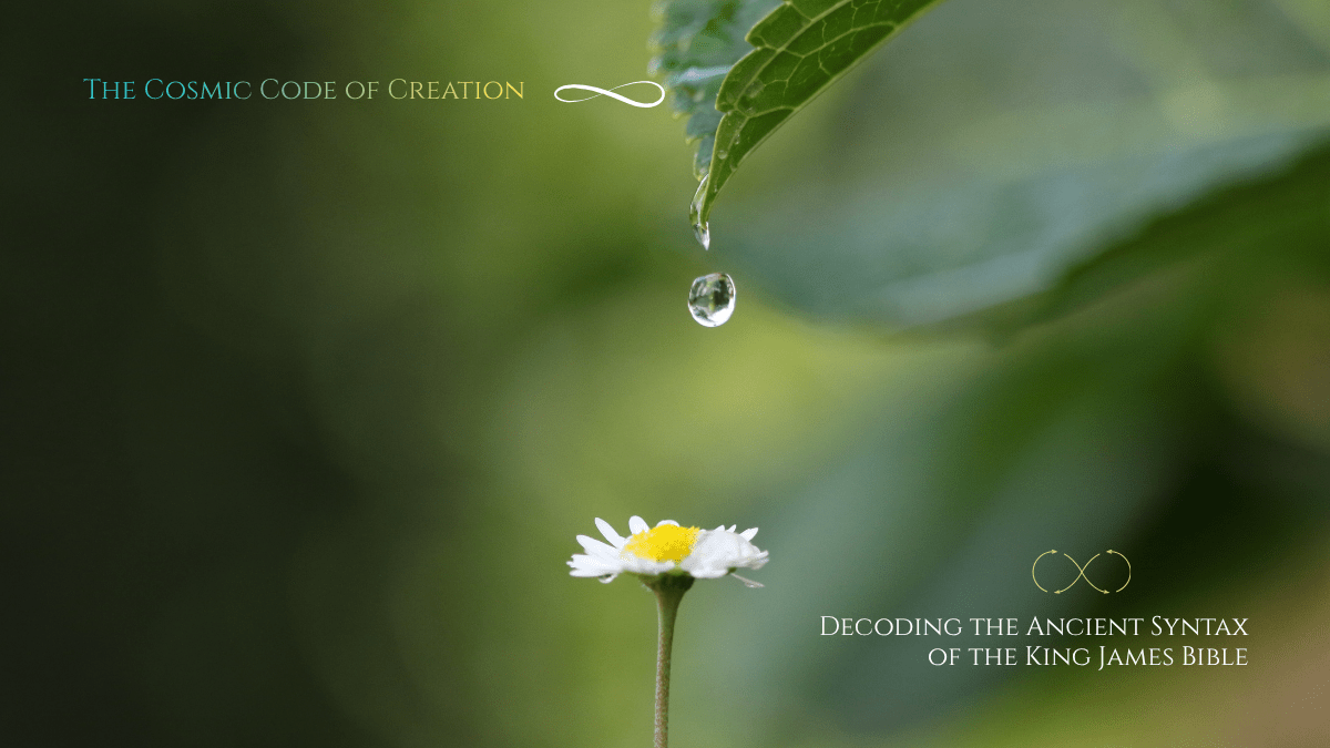 Teaching 2: The Properties of&nbsp;Life